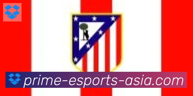 DOTA比分合作伙伴